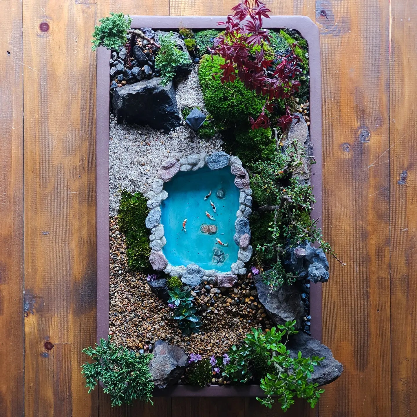 Koi Pond with floating lily