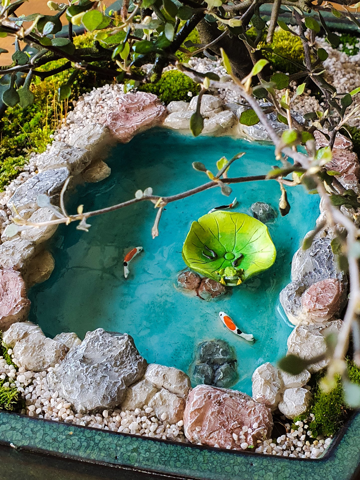 Koi Pond with floating lily