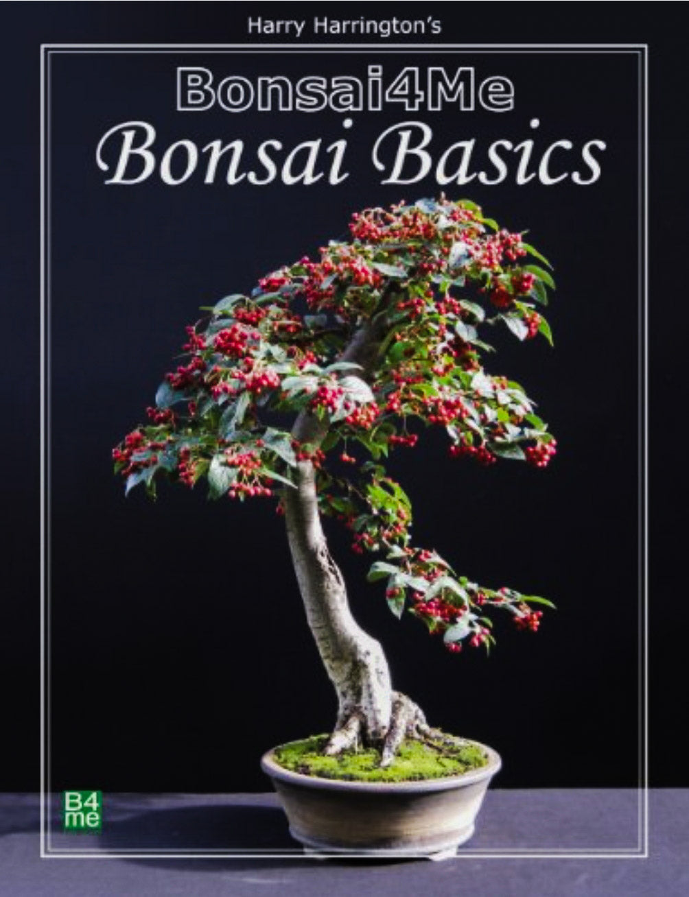 best bonsai tree book for beginners Bonsai4me: Bonsai Basics Harry Harrington – B for Bonsai