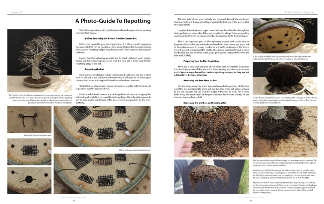 Bonsai4me: Bonsai Basics Harry Harrington
