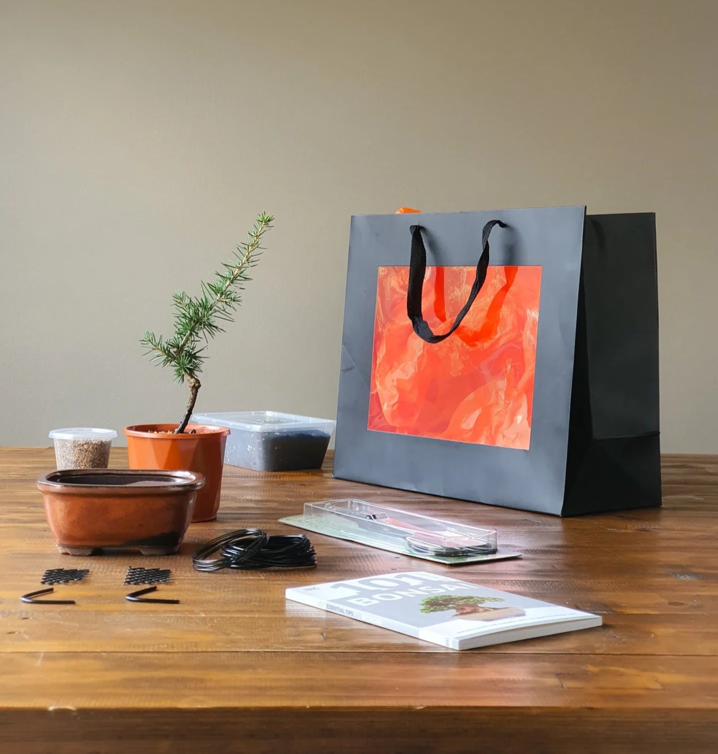 Cedar Bonsai Starter Kit
