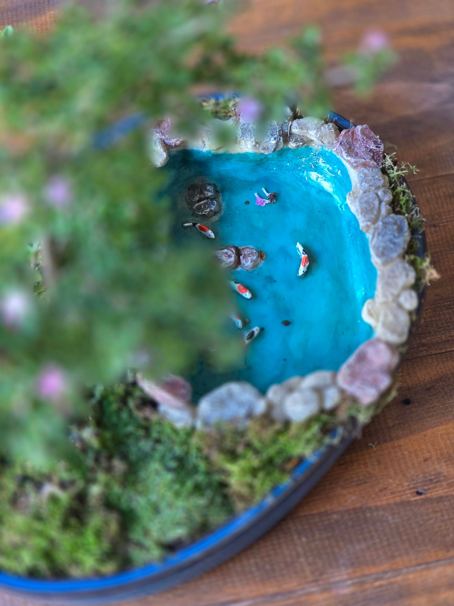 Serissa Bonsai with koi pond