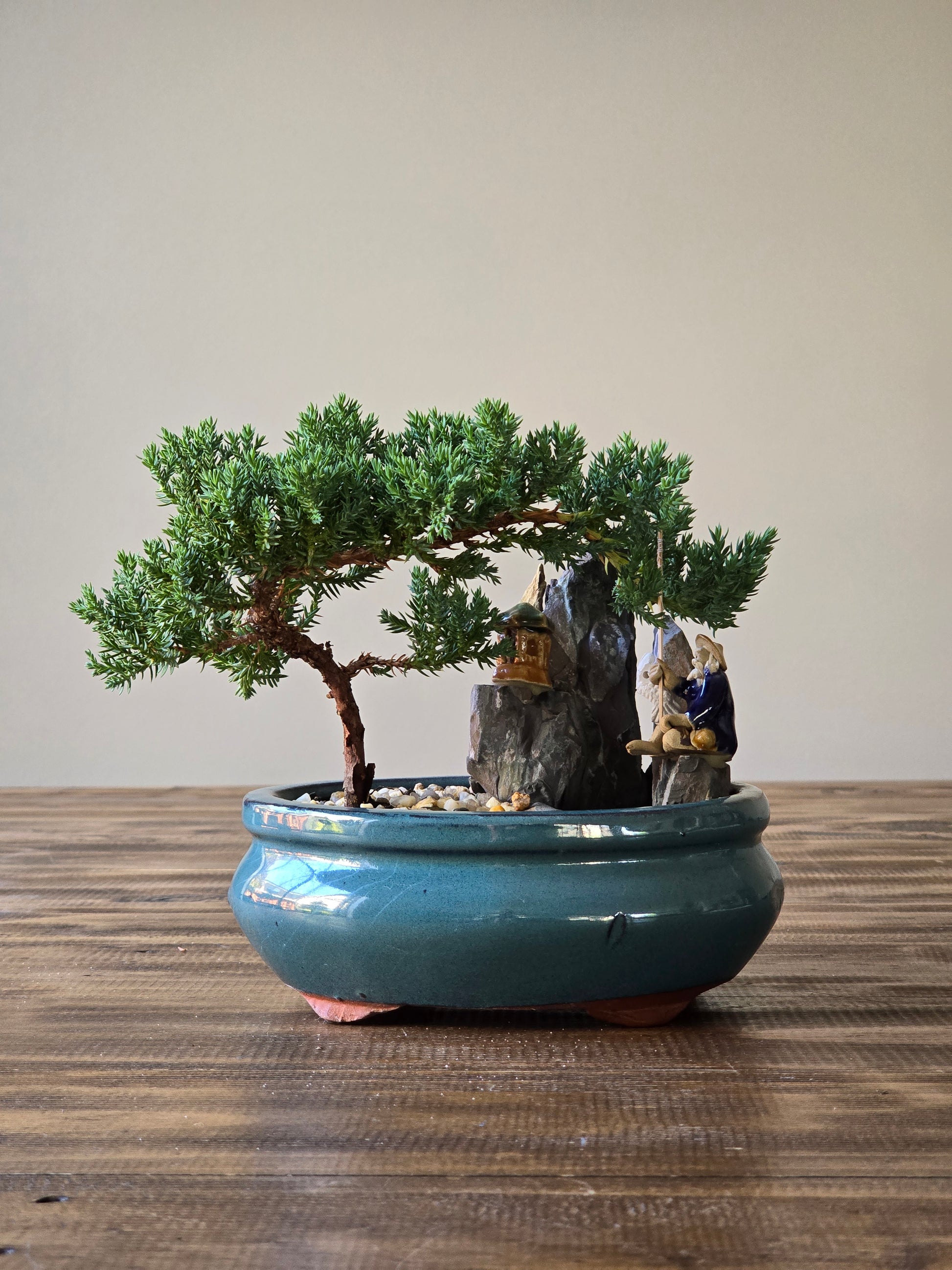 9greenbox juniper tree bonsai best gift Strictly PICKUP ONLY) Bonsai with figurines and pond in Gift bag – B for Bonsai
