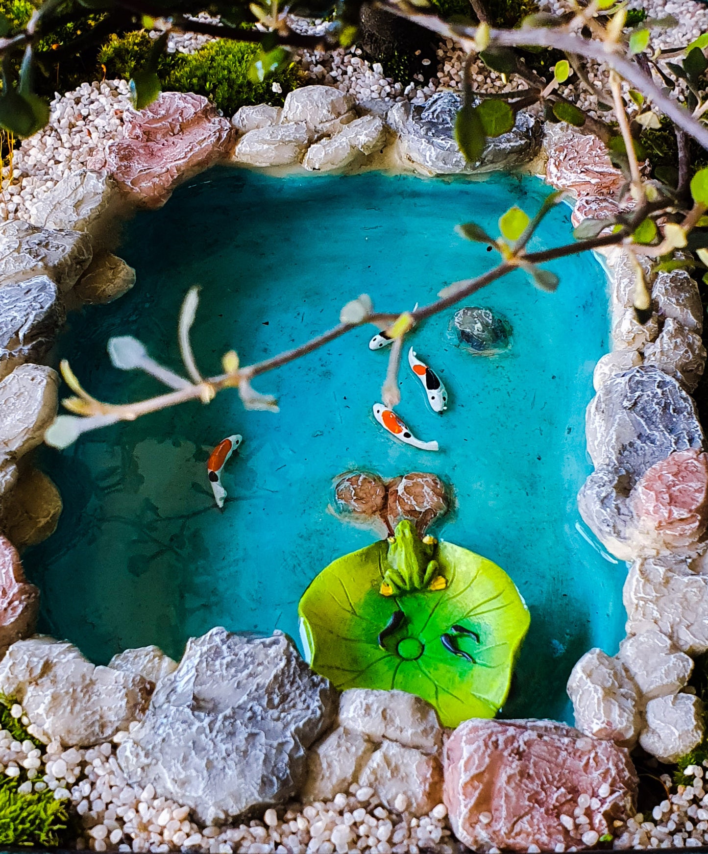 Koi Pond with floating lily