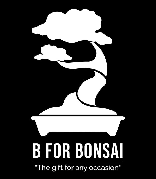 B for Bonsai