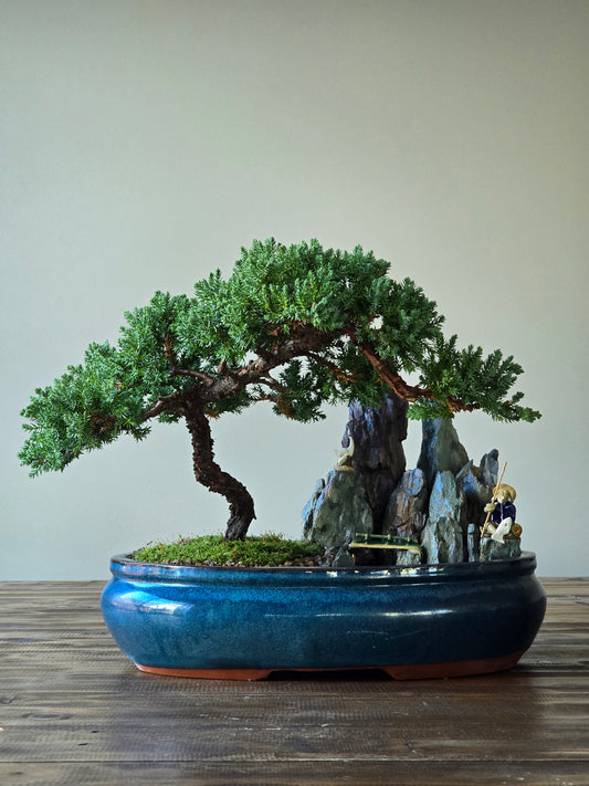 (PICKUP ONLY) Bonsai with figurines and pond (LARGE)
